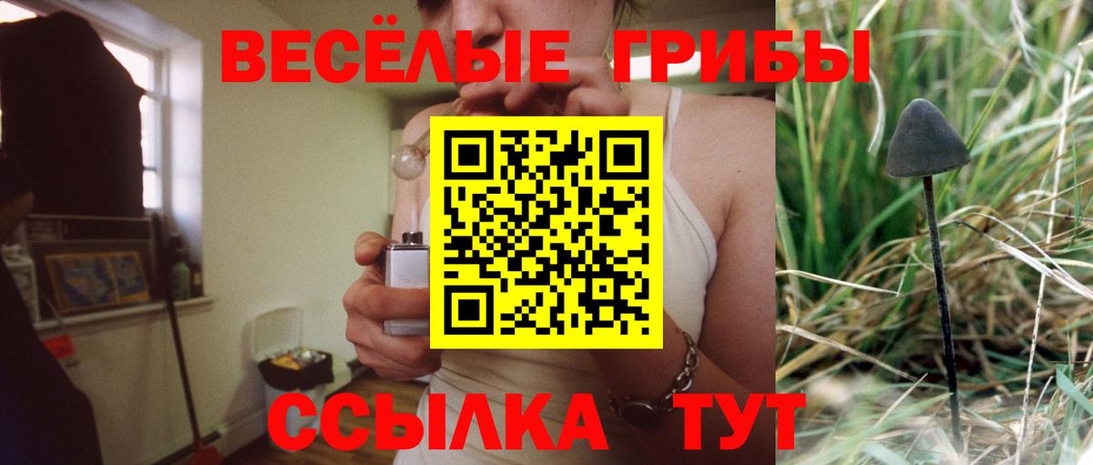 Янаул  Псилоцибиновые грибы ЛСД  Вход с VPN  Галлюциногенные грибы прущие грибы 